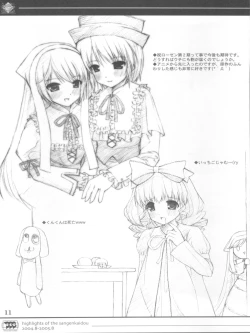 Page 11 of KEISUHOUSIKI 3