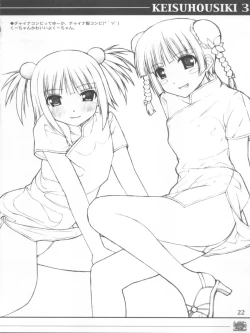 Page 22 of KEISUHOUSIKI 3