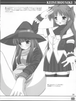 Page 28 of KEISUHOUSIKI 3