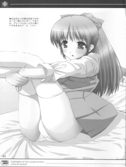 Page 41 of KEISUHOUSIKI 3