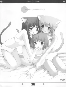 Page 24 of Keisuhousiki 2