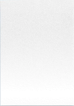 Page 24 of sukide uzuite