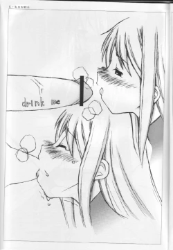 Page 4 of Yotomi no kuni noAlice