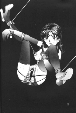 Page 33 of KAD ANAL DE EVANGELION