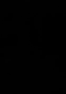 Page 21 of Satori MAX