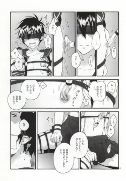 Page 17 of SHIBA RIN HAKU SYO