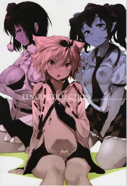 Page 2 of TENGU COLLECTION