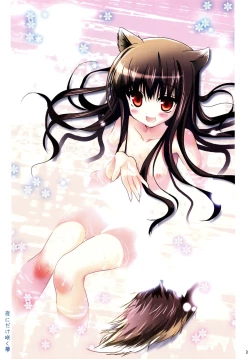 Page 2 of Yoru ni Dake Saku Yume