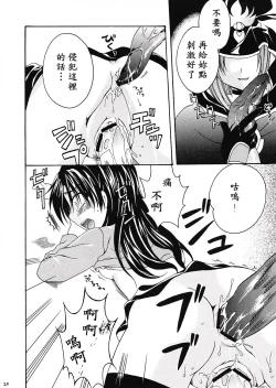 Page 19 of Silhouette X