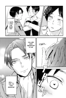 Page 5 of Heishichou no Hakoiri Eren | Captain's Boxed Up Eren