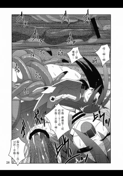 Page 28 of Discount ticket