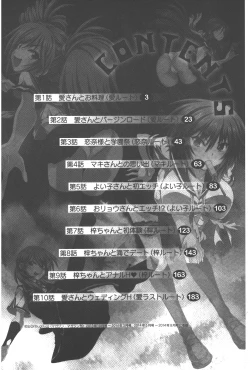 Page 3 of Tsujidou-san no Virgin Road Adult Edition | 辻堂小姐的純潔處女之路