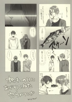 Page 29 of Saba Tokidoki Maguro.