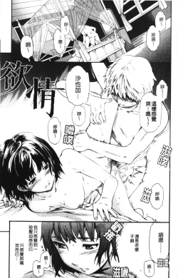 Page 144 of Hoshigari!