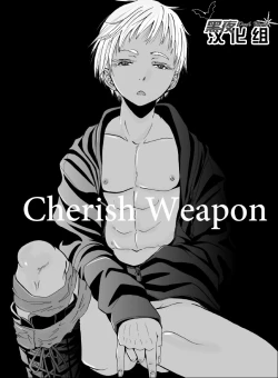 Page 3 of Cherish Weapon