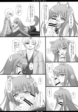 Page 14 of Ookami to Tsuki no Nai Yoru