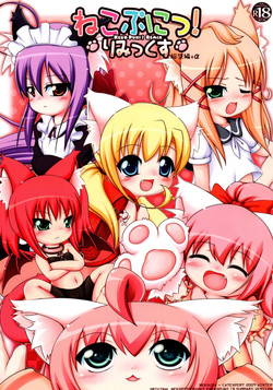 Download Neko Puni! Remix