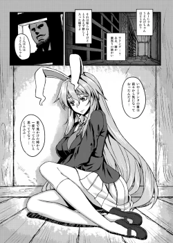 Page 233 of Touhou Project no Hon Soushuuhen