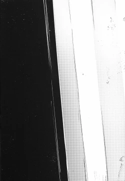 Page 37 of Shiragasane