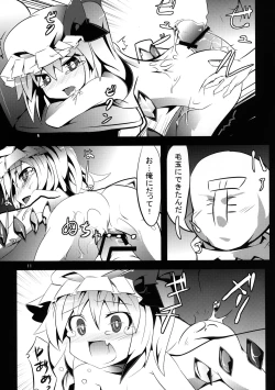 Page 11 of PETBOTTLER FLANDRE