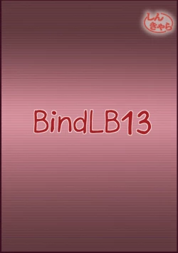 Page 30 of BindLB14