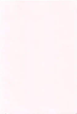 Page 234 of Dorori-chu