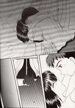 Page 17 of Shiawase No Katachi