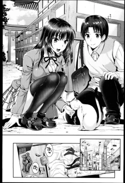 Page 207 of Seikousai - School Love Festival + Toranoana Gentei 8P Shousasshi
