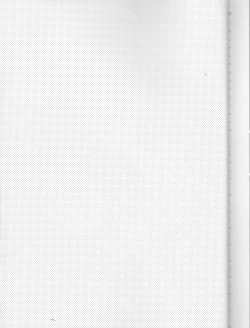 Page 4 of Mikoto to. 6