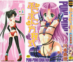 Download Puni-puni Equation