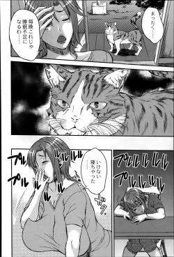 Page 258 of COMIC Saija 2015-07 Vol. 1