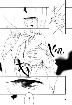 Page 24 of Hadashi no VAMPIRE 17