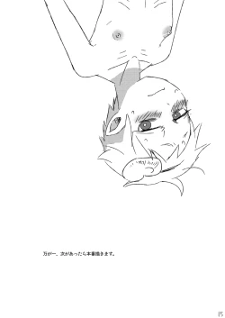 Page 15 of Decorate Komeiji