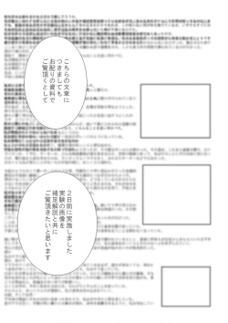 Page 21 of P045-02 Vanis Report