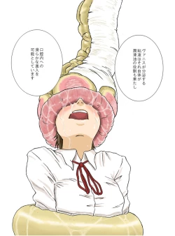 Page 26 of P045-02 Vanis Report