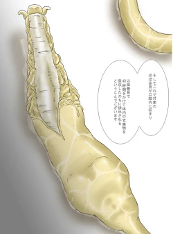 Page 36 of P045-02 Vanis Report