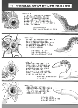 Page 5 of P045-02 Vanis Report