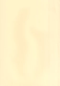 Page 4 of Ittsu Main 2