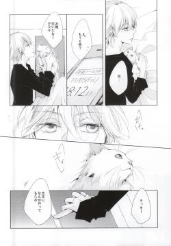 Page 14 of PEEK a BOO