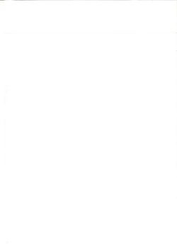 Page 8 of 1004N+ Cyclone no Soushuuhen