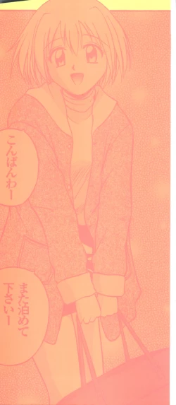 Page 3 of Mujirushi Youhin Vol. 1