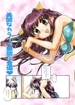 Page 5 of Tenshi no Yuuwaku