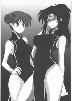 Page 4 of Subete Hazusanai  LV6