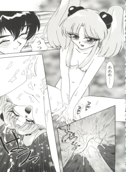 Page 19 of Aniparo Miki 10