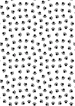 Page 31 of Kou Ana Hore Wanwan