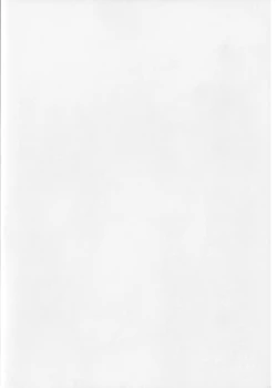 Page 2 of Sweet Summer Festival