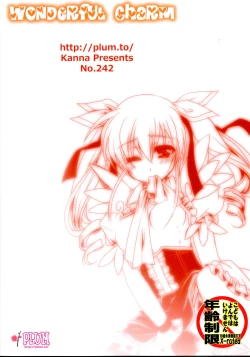 Page 2 of Wonderful Charm