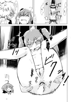 Page 24 of D4 DISC DOG DAYS DASH