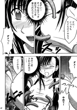 Page 39 of Kajitsu Soushuuhen