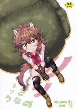 Page 18 of Lili no Fushigi na Ryukku